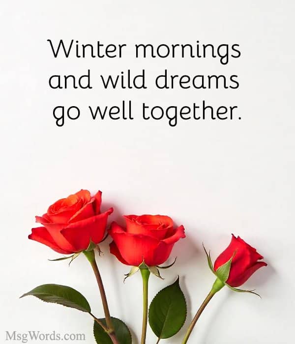 Winter mornings and wild dreams go well together.