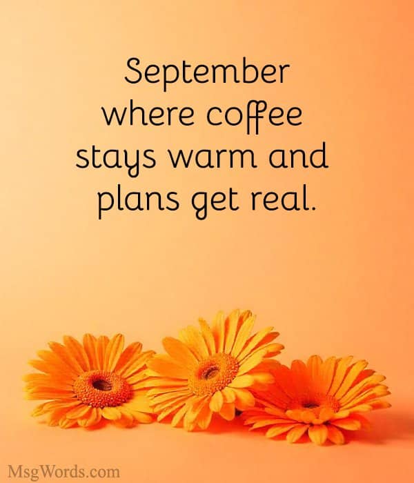 September: where coffee stays warm and plans get real.