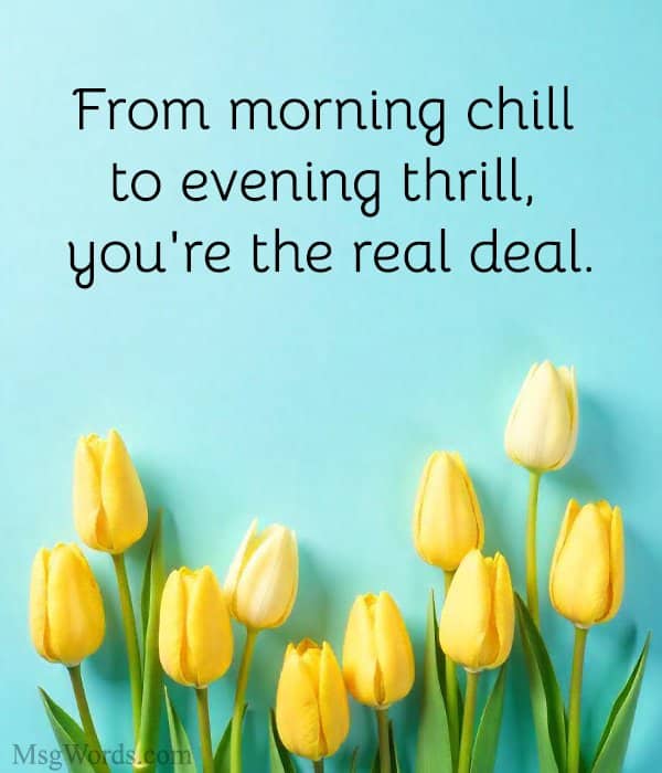 From morning chill to evening thrill, you're the real deal.