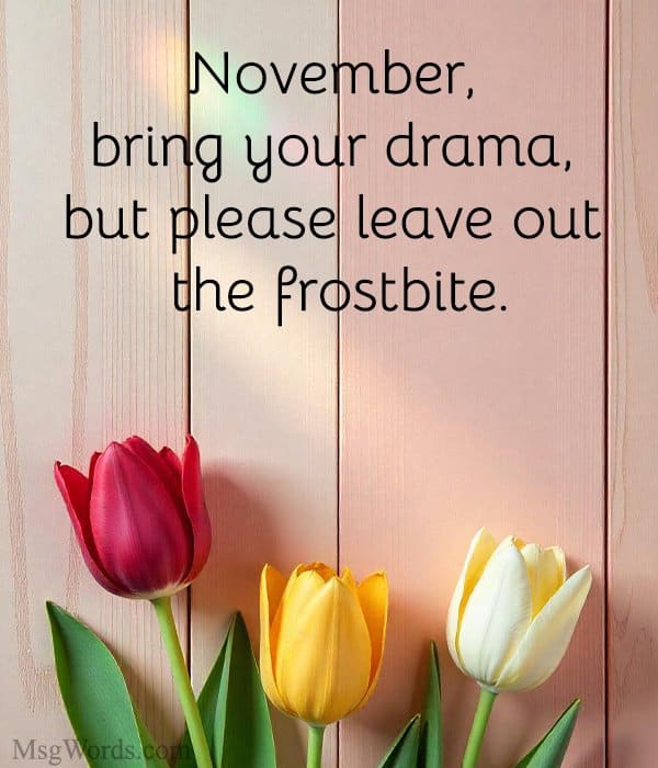 November, bring your drama, but please leave out the frostbite.
