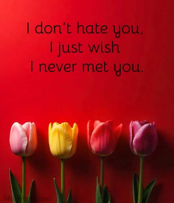 I don’t hate you, I just wish I never met you.