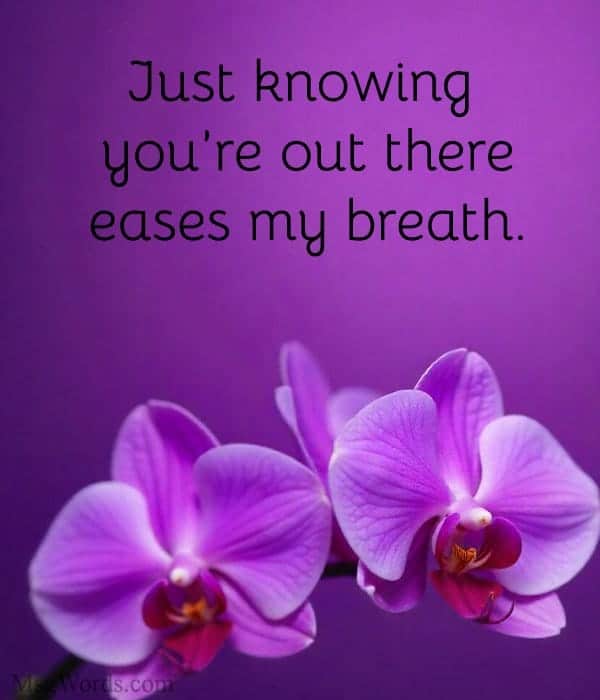 Just knowing you’re out there eases my breath.