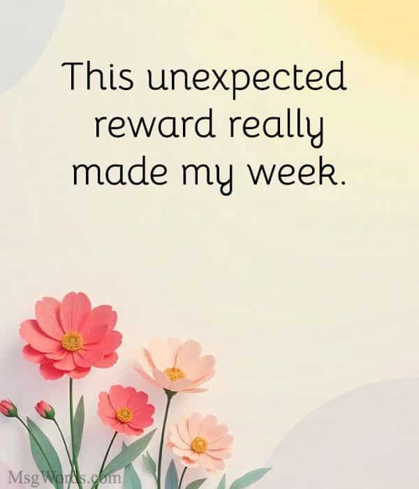 This unexpected reward really made my week.