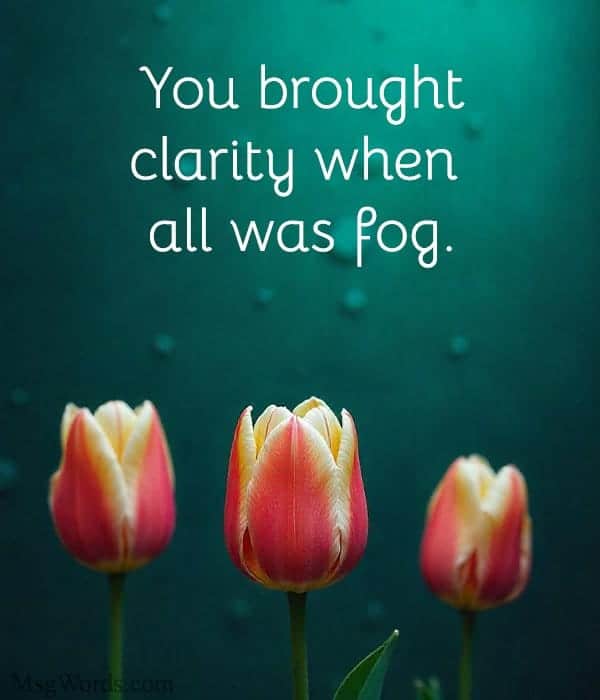 You brought clarity when all was fog.