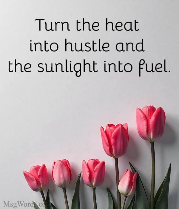 Turn the heat into hustle and the sunlight into fuel.