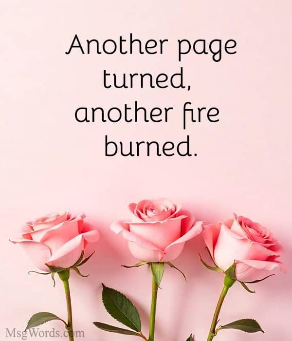 Another page turned, another fire burned.