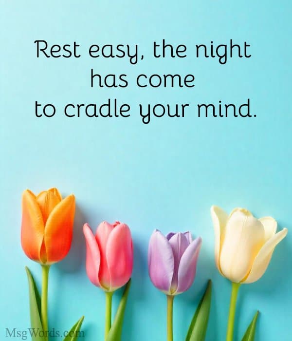 Rest easy, the night has come to cradle your mind.