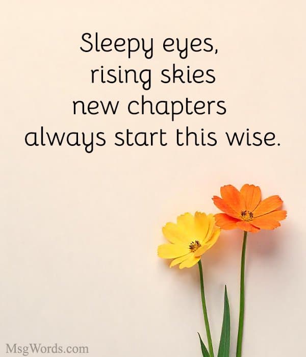 Sleepy eyes, rising skies; new chapters always start this wise.