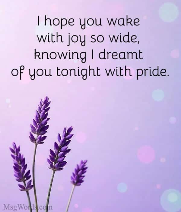 I hope you wake with joy so wide, knowing I dreamt of you tonight with pride.