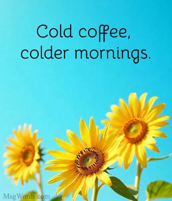Cold coffee, colder mornings.
