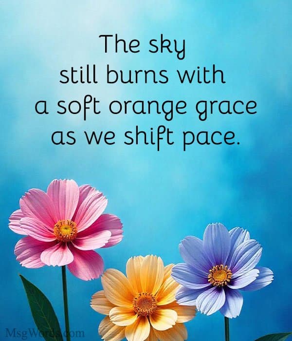 The sky still burns with a soft orange grace as we shift pace.