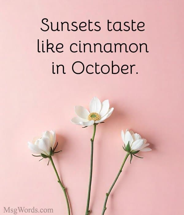 Sunsets taste like cinnamon in October.