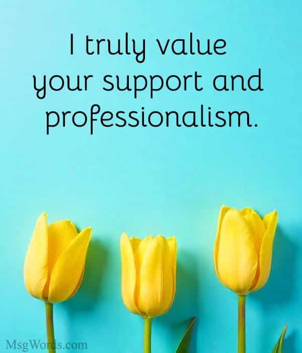 I truly value your support and professionalism.