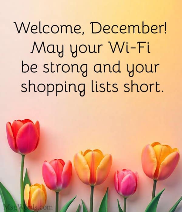 Welcome, December! May your Wi-Fi be strong and your shopping lists short.