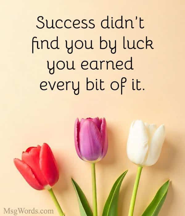 Success didn’t find you by luck; you earned every bit of it.
