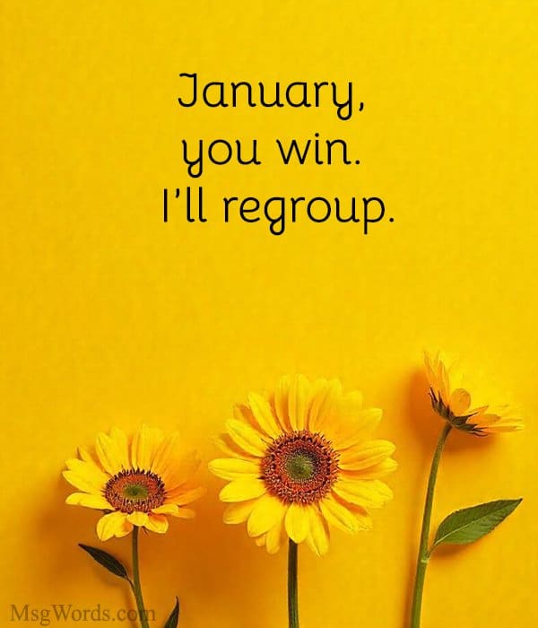 January, you win. I’ll regroup.