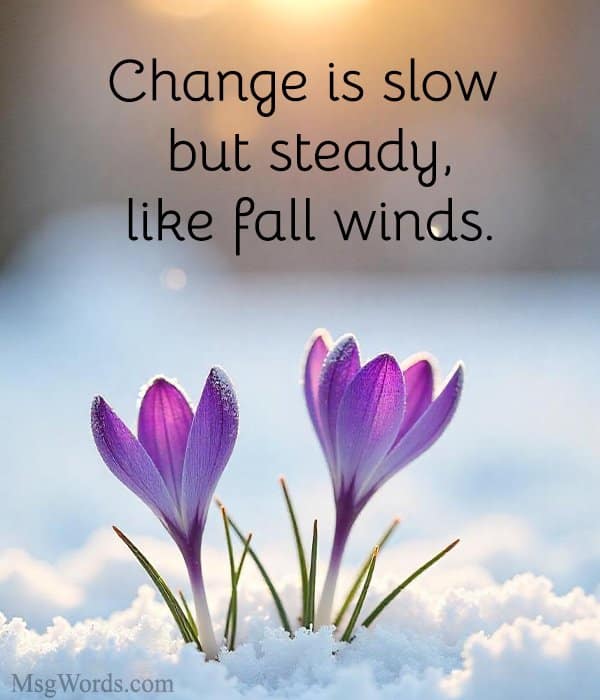 Change is slow but steady, like fall winds.