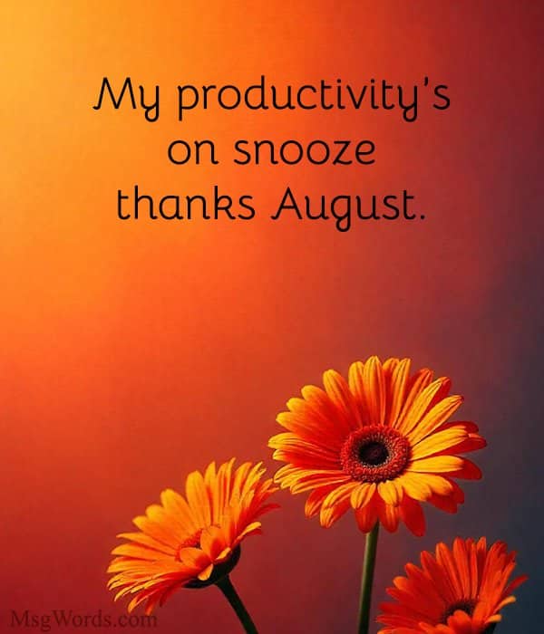 My productivity’s on snooze; thanks August.