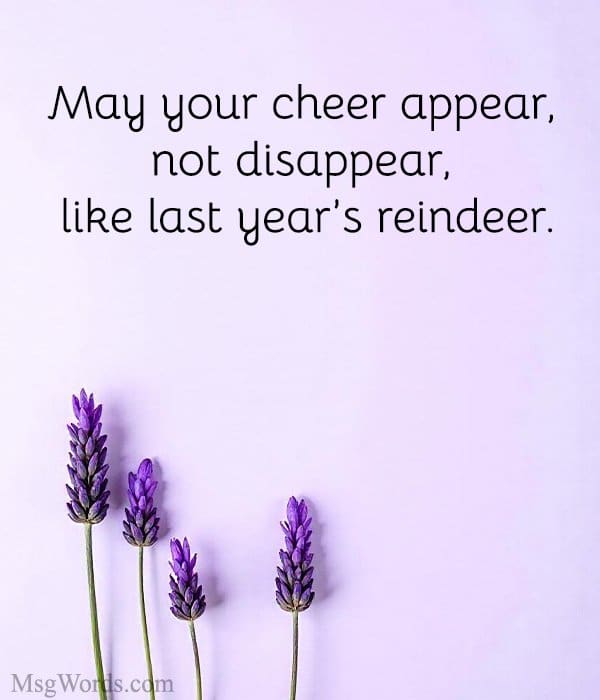 Season’s greetings from the land of mismatched gloves.