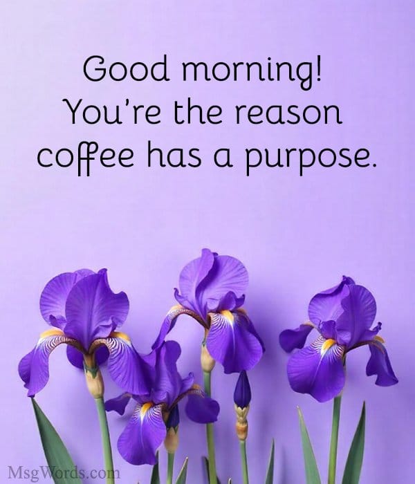 Good morning! You’re the reason coffee has a purpose.