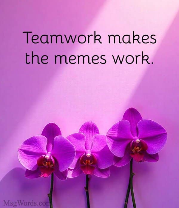 Teamwork makes the memes work.