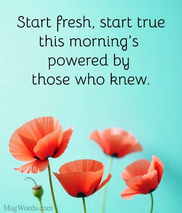 Start fresh, start true; this morning’s powered by those who knew.