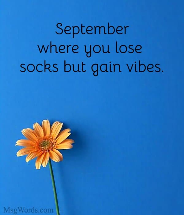 September: where you lose socks but gain vibes.