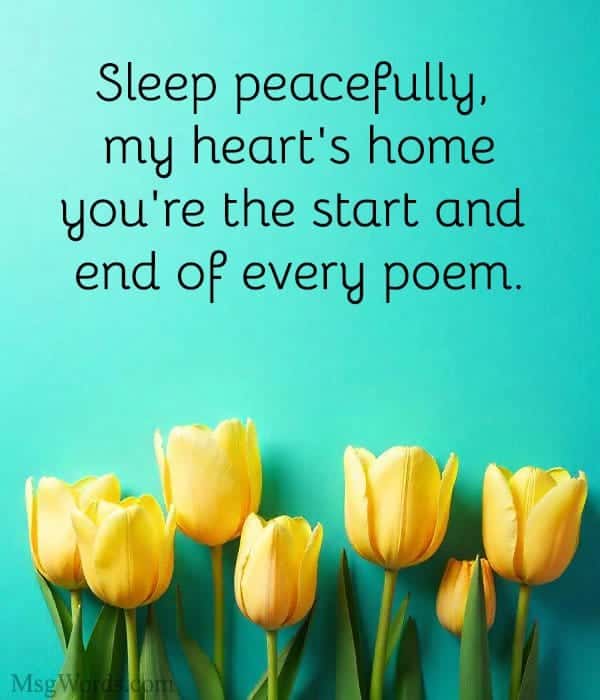 Sleep peacefully, my heart's home; you're the start and end of every poem.