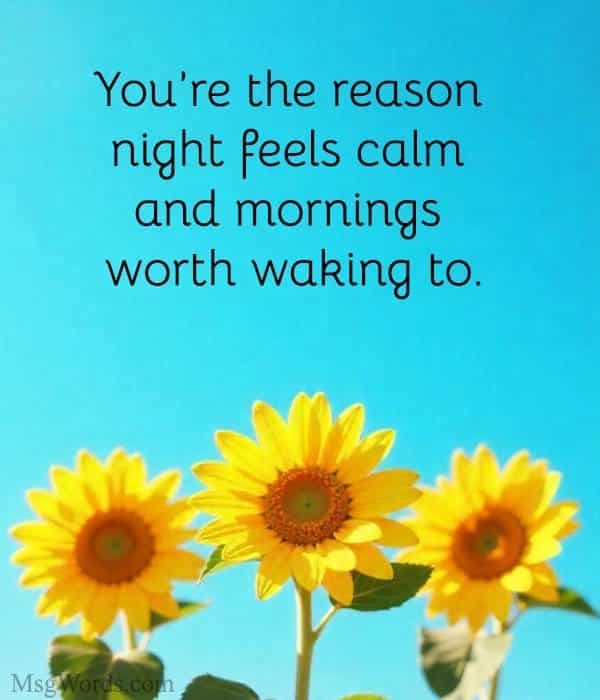 You’re the reason night feels calm and mornings worth waking to.