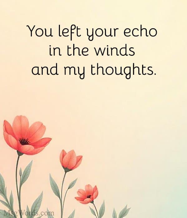 You left your echo in the winds and my thoughts.