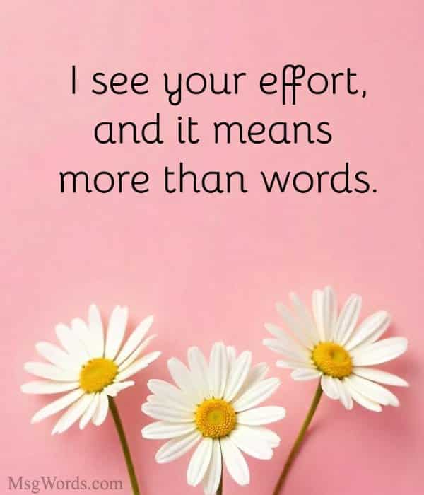I see your effort, and it means more than words.