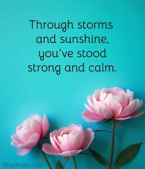 Through storms and sunshine, you’ve stood strong and calm.