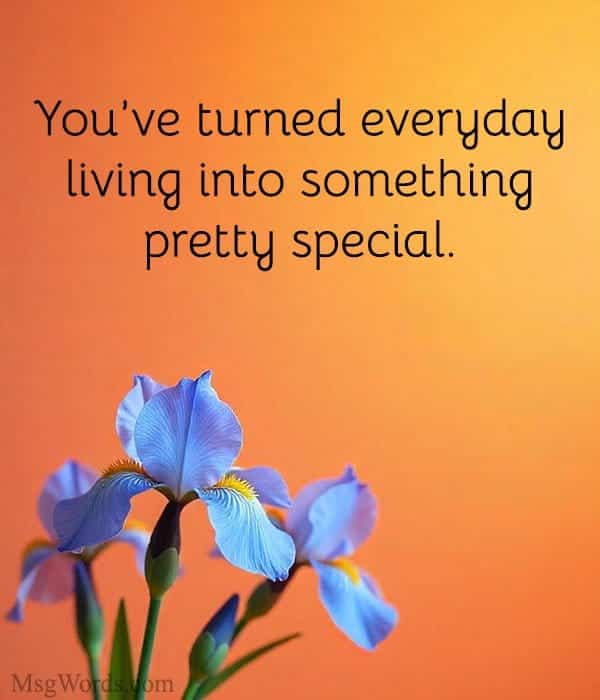 You’ve turned everyday living into something pretty special.