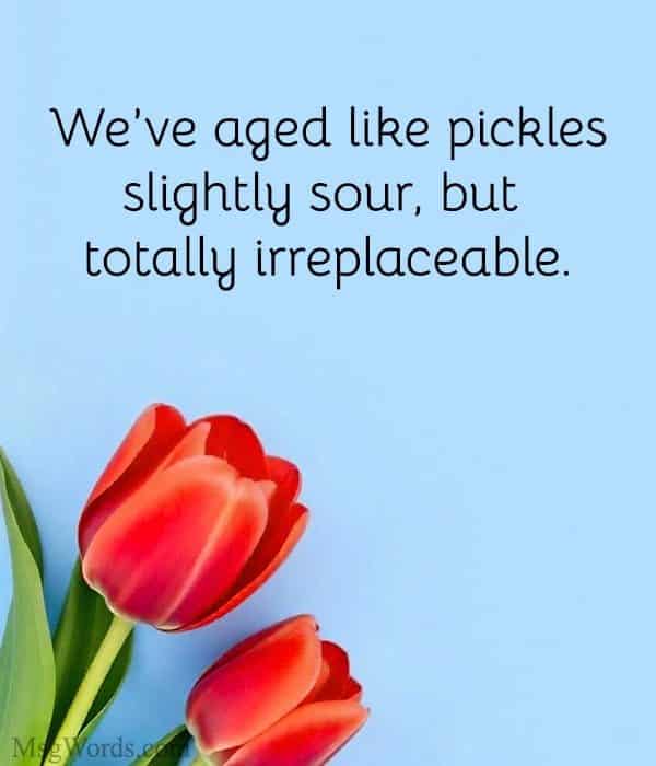 We’ve aged like pickles; slightly sour, but totally irreplaceable.
