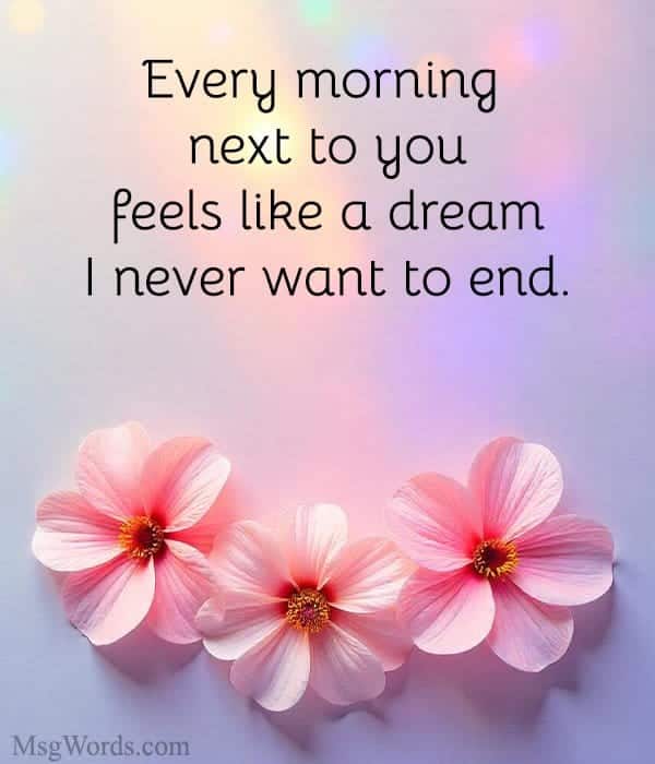 Every morning next to you feels like a dream I never want to end.