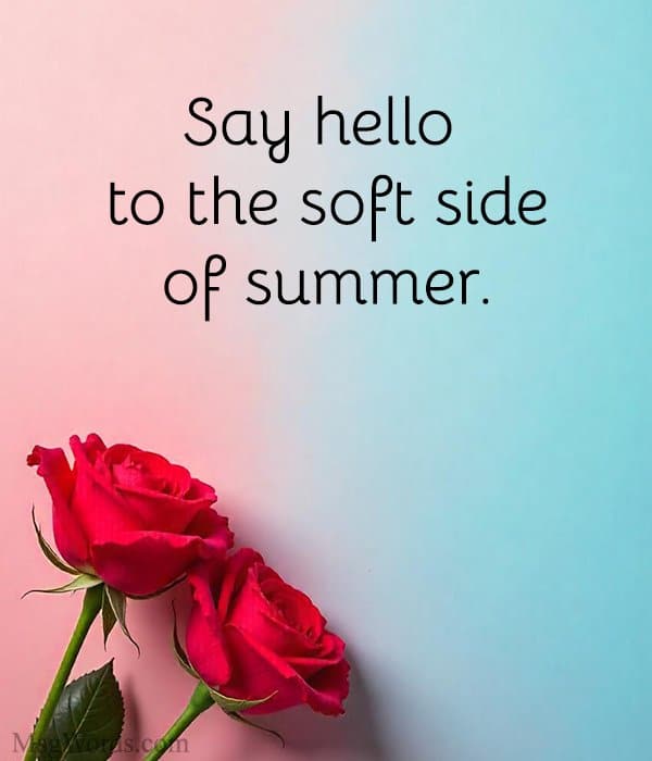 Say hello to the soft side of summer.