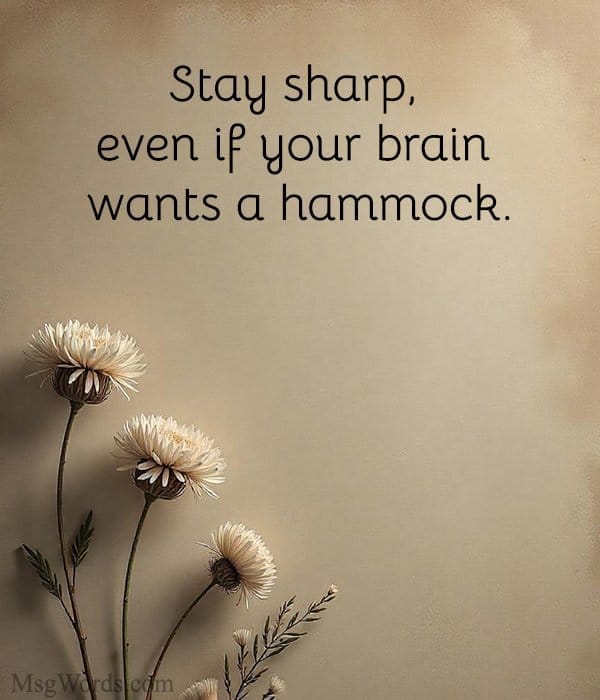 Stay sharp, even if your brain wants a hammock.