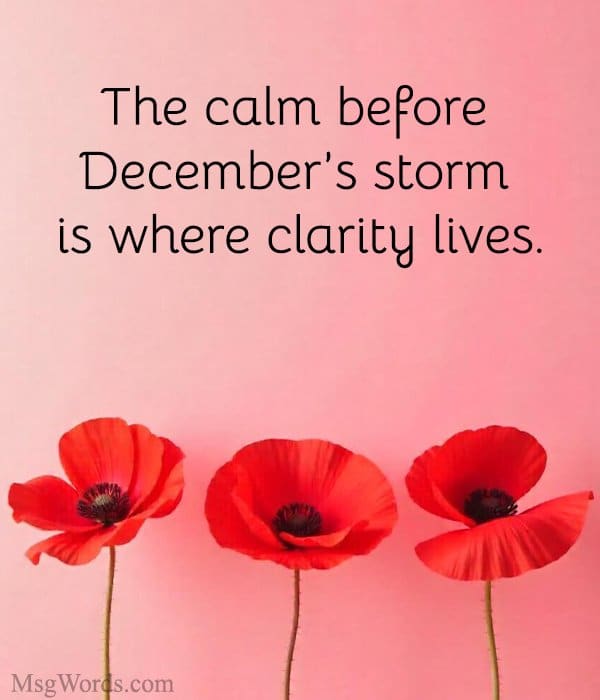 The calm before December’s storm is where clarity lives.