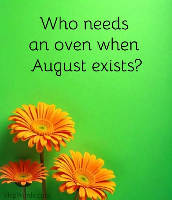 Who needs an oven when August exists?