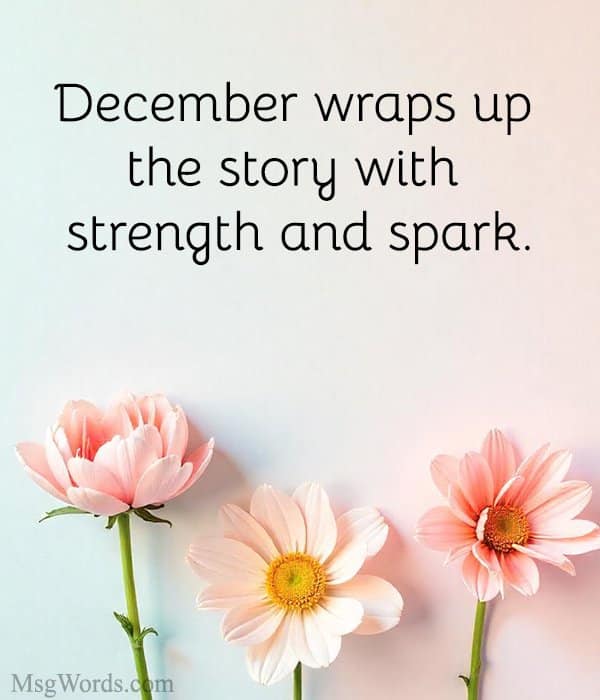 December wraps up the story with strength and spark.