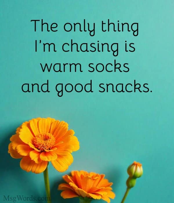 The only thing I’m chasing is warm socks and good snacks.