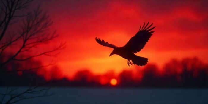 Best Inspirational January Quotes and Messages