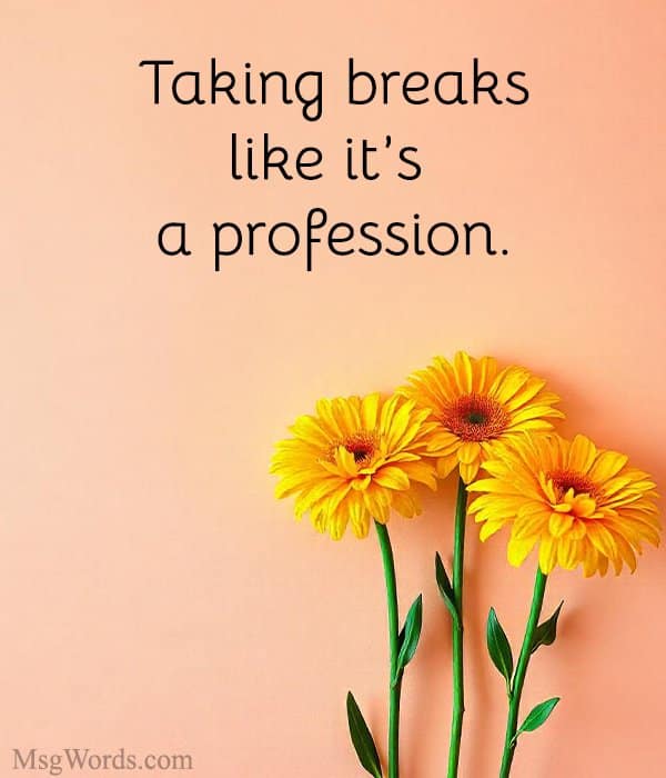 Taking breaks like it’s a profession.