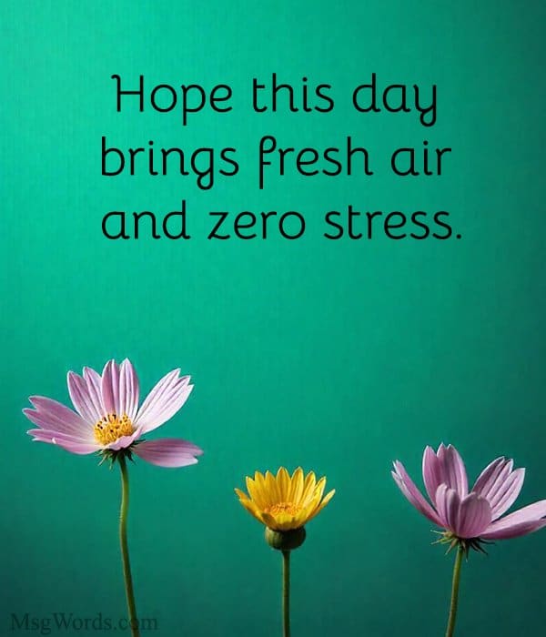 Hope this day brings fresh air and zero stress.