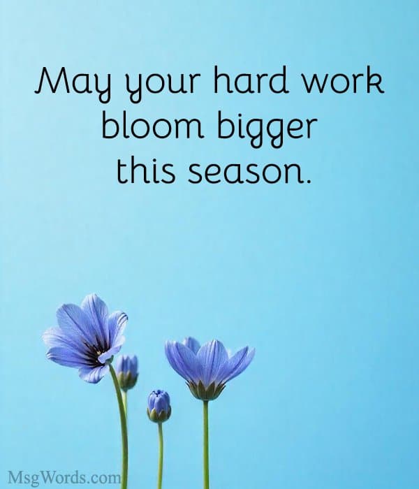 May your hard work bloom bigger this season.
