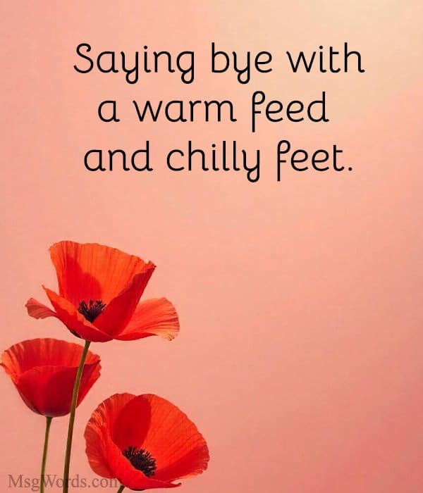Saying bye with a warm feed and chilly feet.