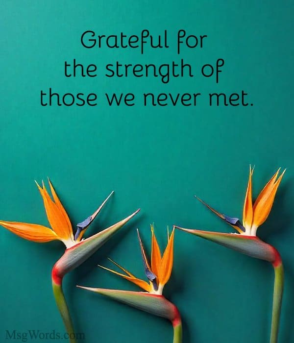 Grateful for the strength of those we never met.