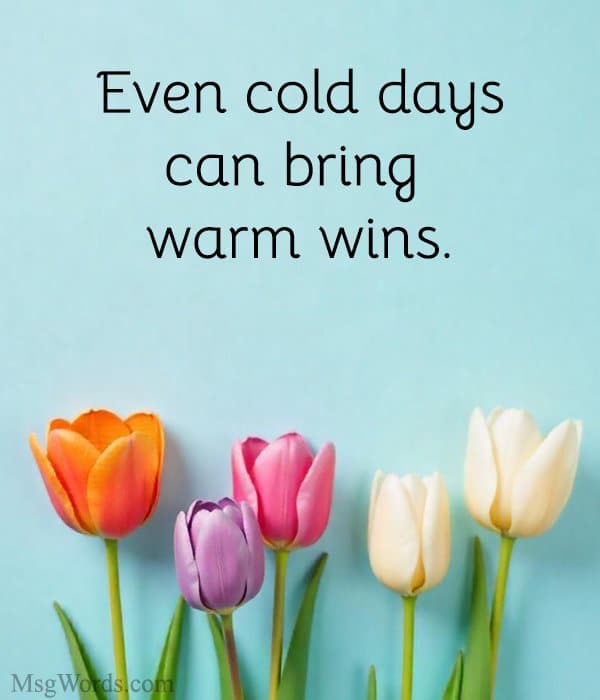 Even cold days can bring warm wins.