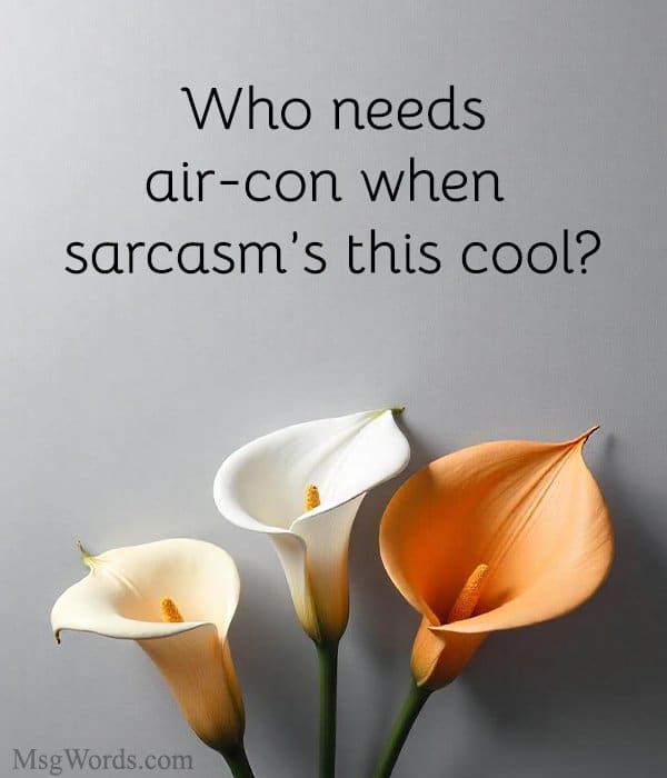Who needs air-con when sarcasm’s this cool?