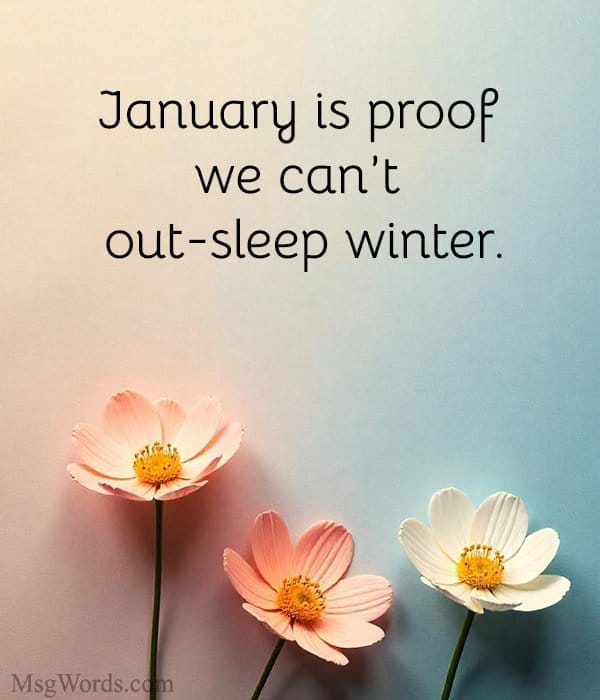January is proof we can’t out-sleep winter.